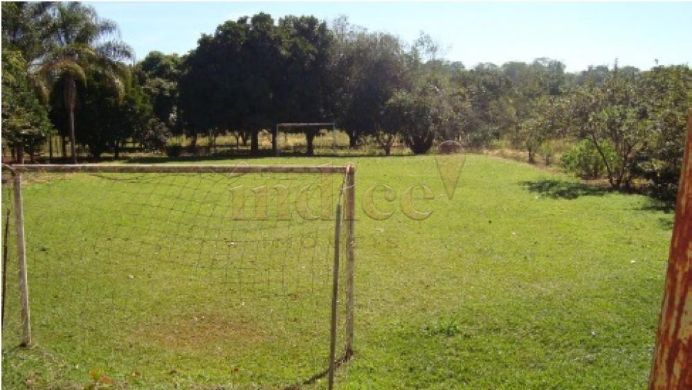 Chácaras para à venda no Patrimonial Campestre na cidade de Ribeirão Preto: 