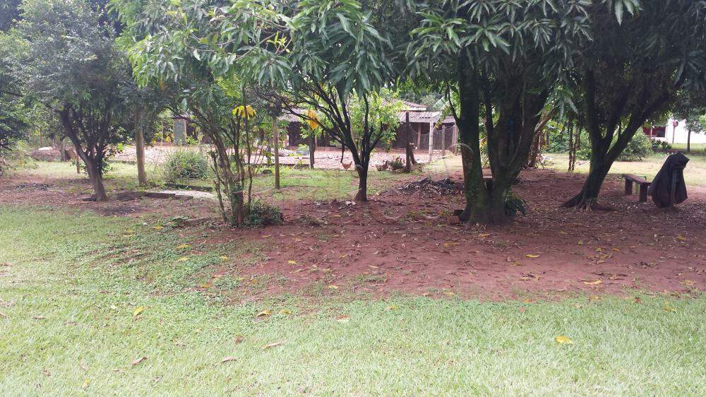 Chácaras para à venda no Patrimonial Campestre na cidade de Ribeirão Preto: 