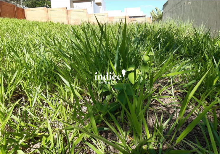 Terrenos Condomínio para à venda no Jardim San Marco na cidade de Ribeirão Preto: 