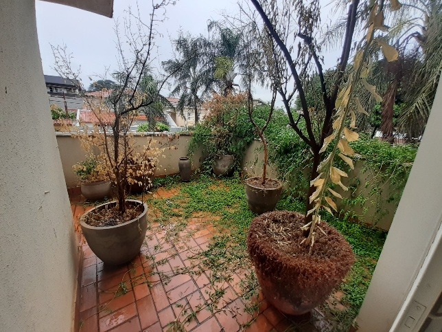 Casas para à venda no Ribeirânia na cidade de Ribeirão Preto: 