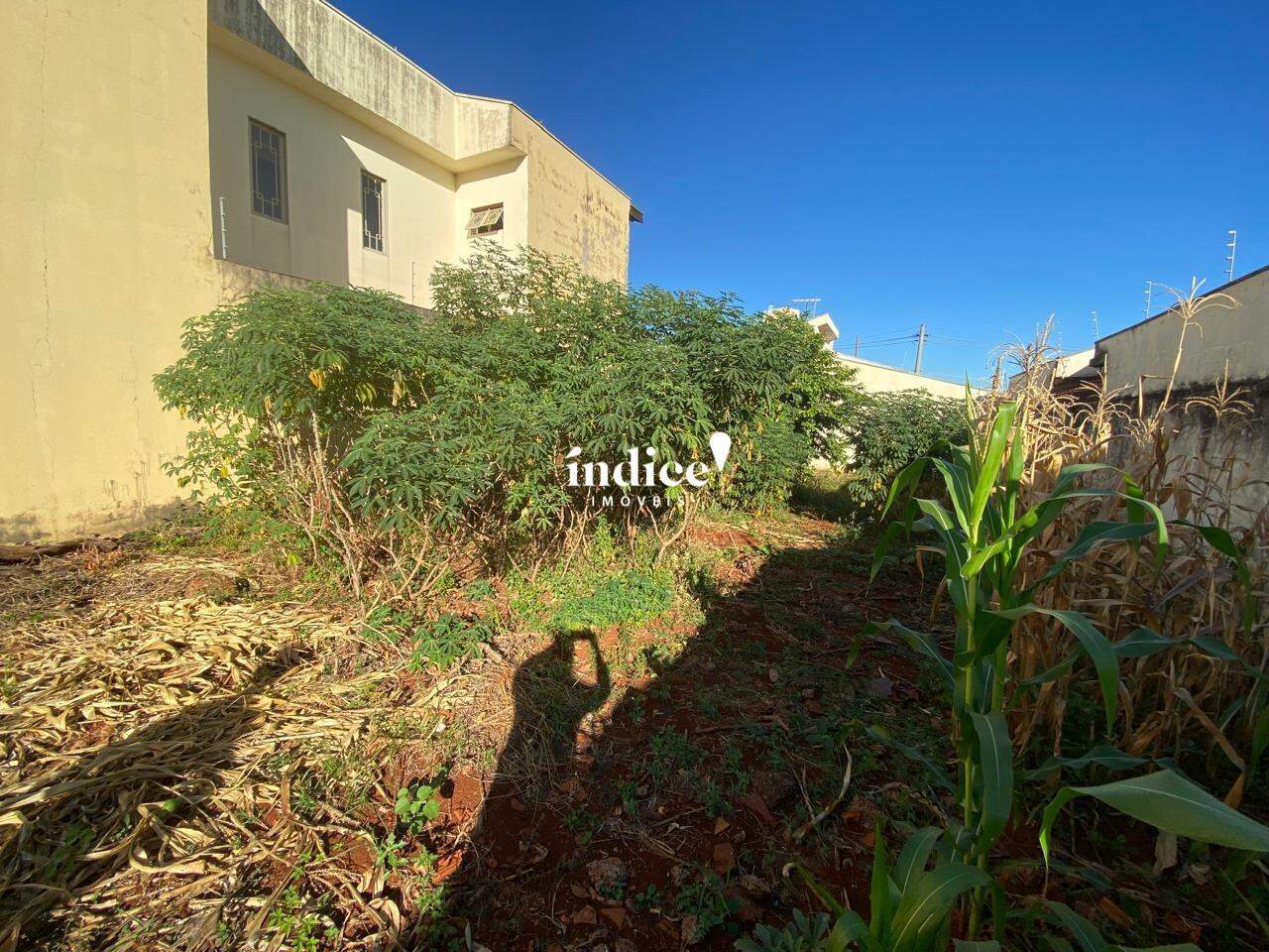 Terrenos Bairro para à venda no Jardim Califórnia na cidade de Ribeirão Preto: 