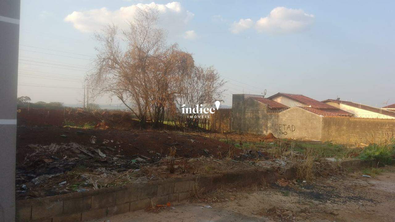 Terrenos Bairro para à venda no Jardim Palmares na cidade de Ribeirão Preto: 