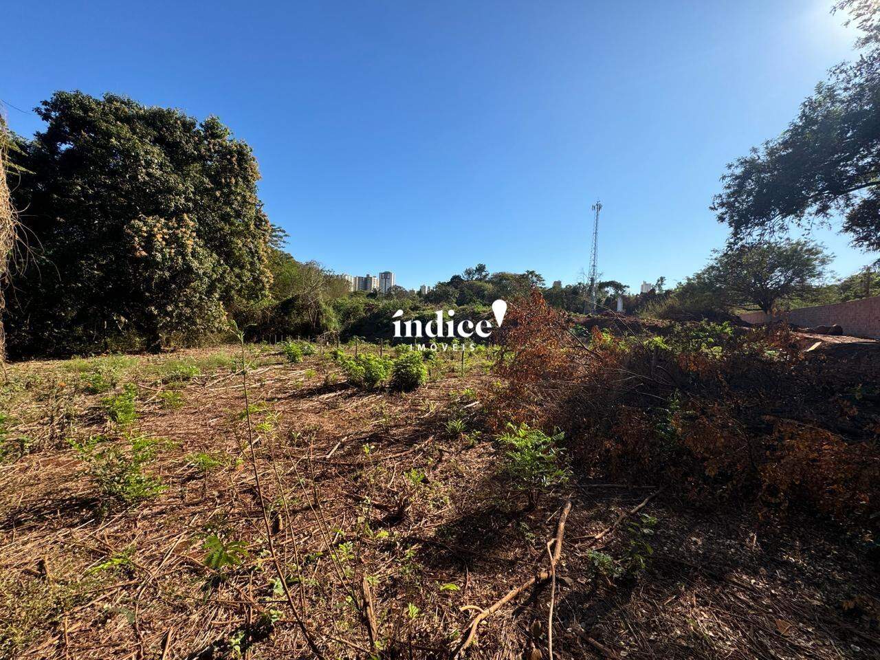 Terrenos Bairro para para aluguel no Jardim Nova Aliança Sul na cidade de Ribeirão Preto: 