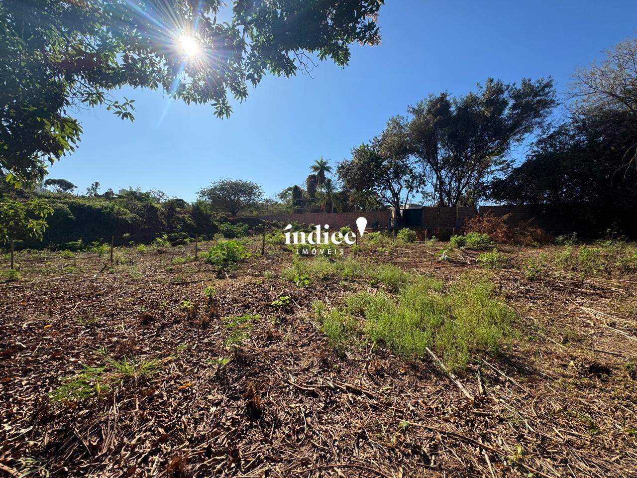 Terrenos Bairro para para aluguel no Jardim Nova Aliança Sul na cidade de Ribeirão Preto: 