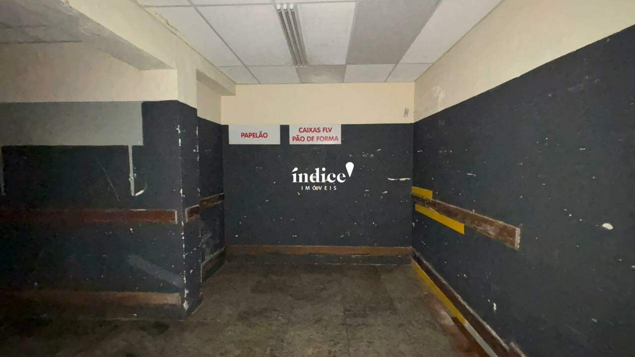 Galpão Comercial para para aluguel no Centro na cidade de Ribeirão Preto: 