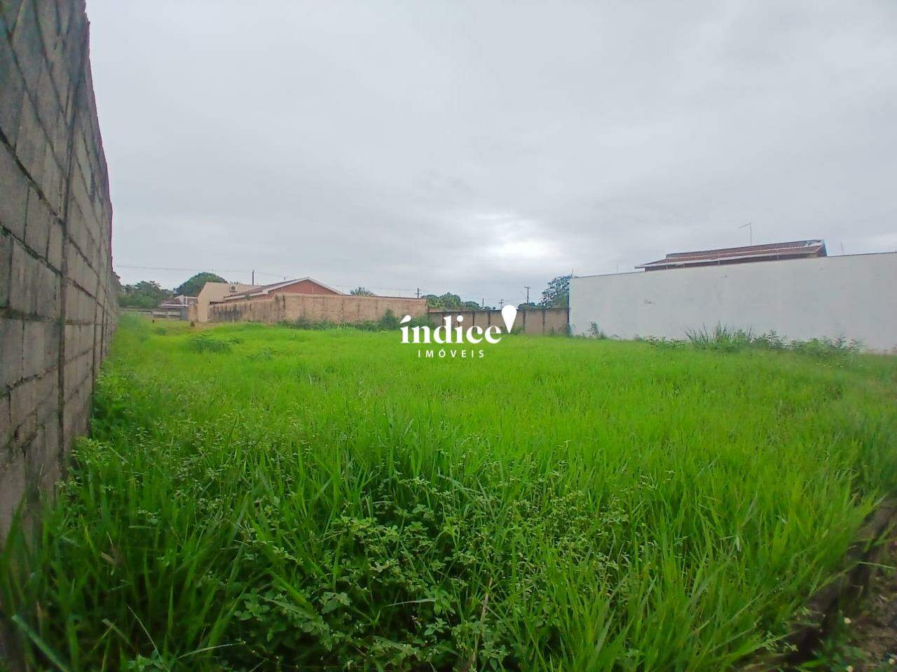Terrenos Bairro para para aluguel no City Ribeirão na cidade de Ribeirão Preto: 