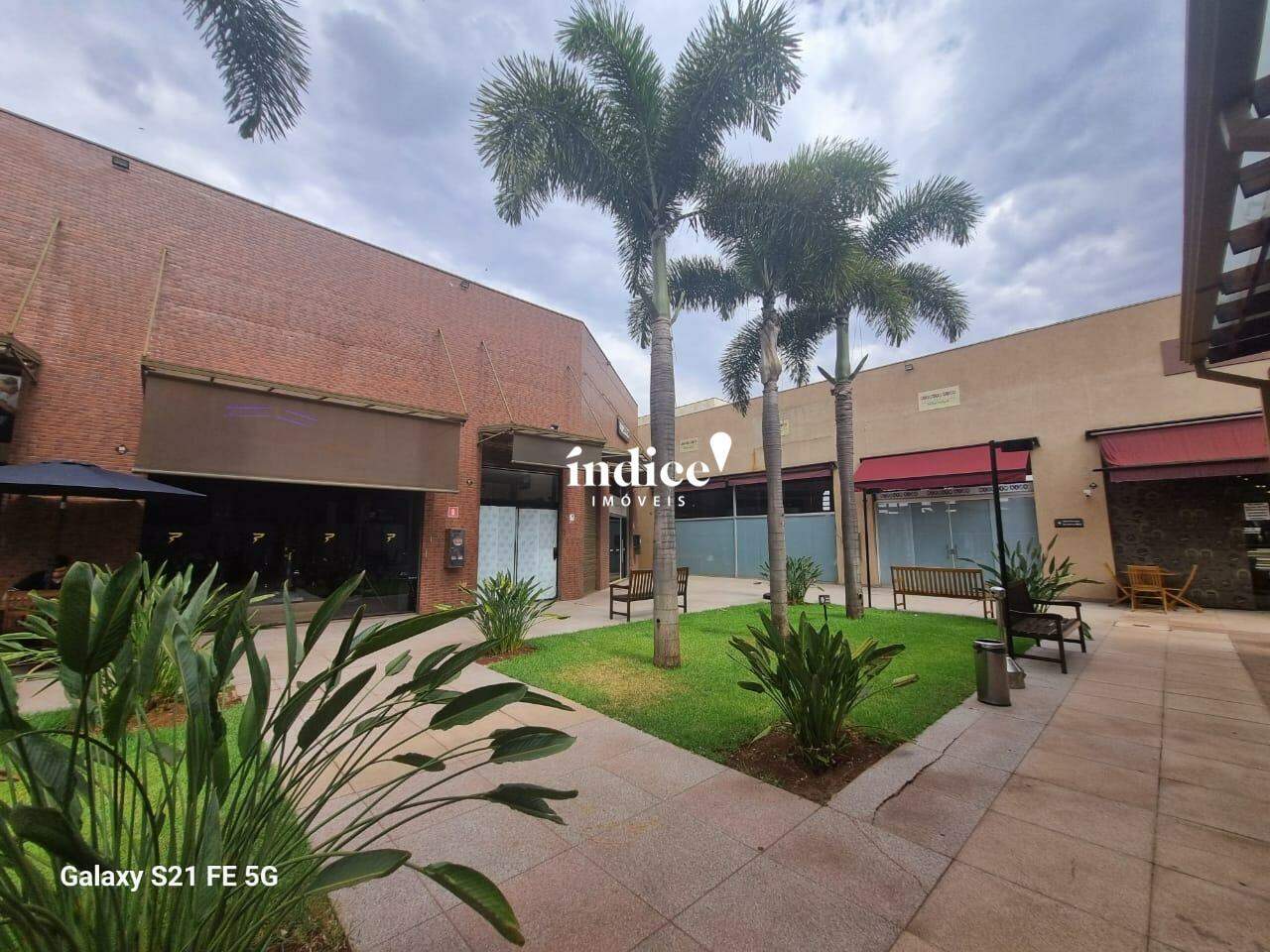 Sala Comercial para para aluguel no Jardim Guaporé na cidade de Ribeirão Preto: 