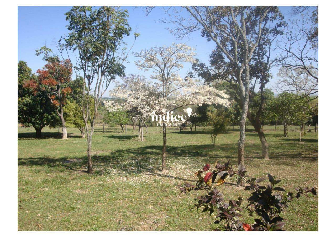 Rural para à venda no Vila Vieira na cidade de Cajuru: 