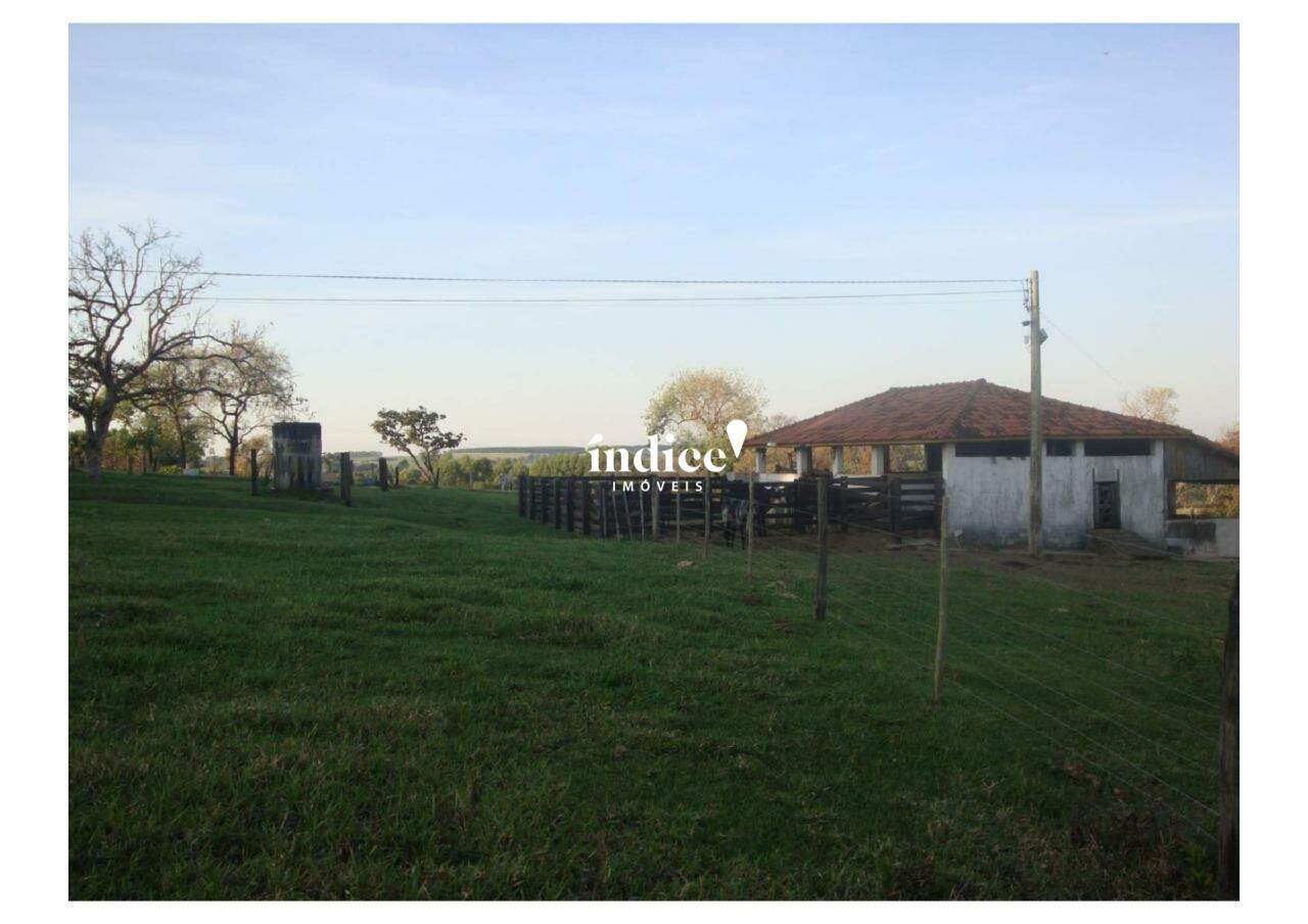 Rural para à venda no Vila Vieira na cidade de Cajuru: 