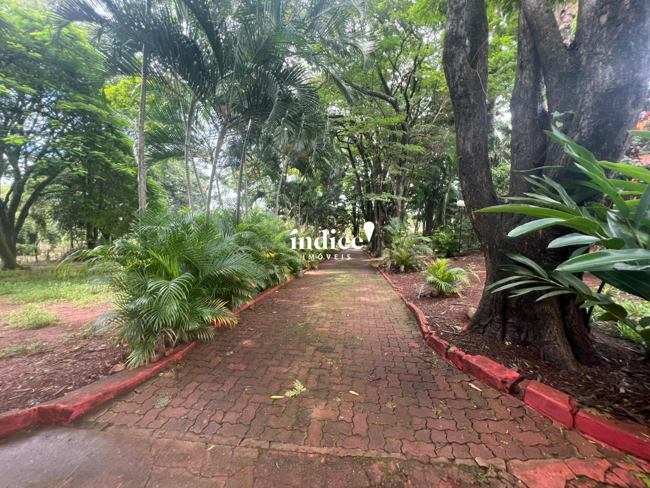 Casas Condomínio para à venda no Condomínio Quinta da Boa Vista na cidade de Ribeirão Preto: 