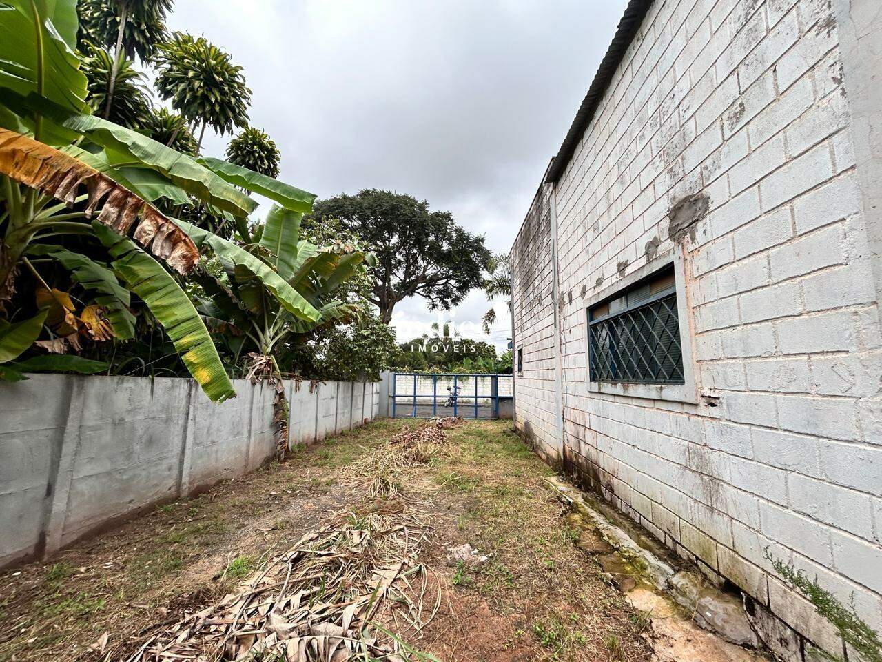 Galpão Comercial para para aluguel no Parque São Sebastião na cidade de Ribeirão Preto: 