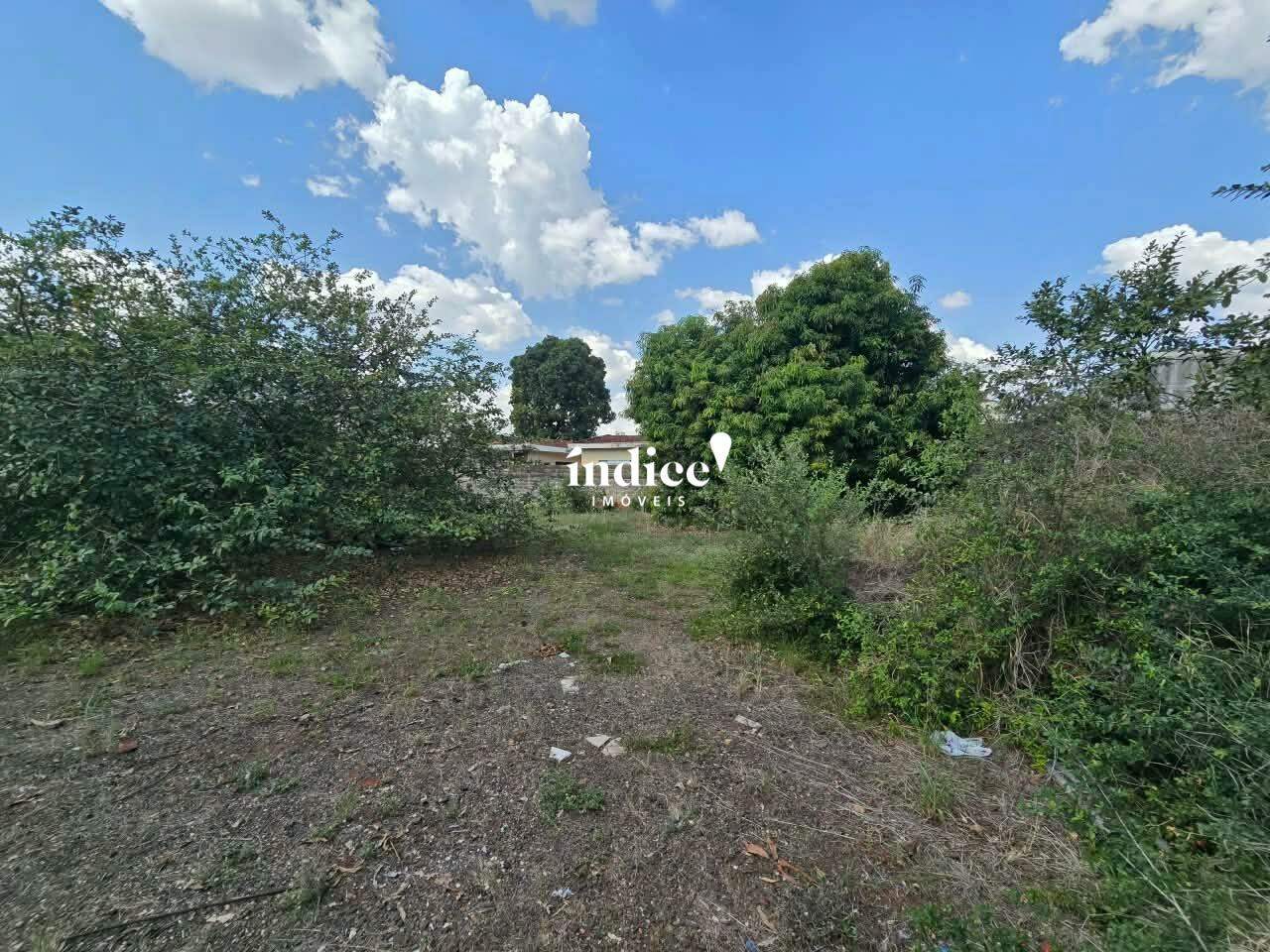 Terrenos Bairro para à venda no Campos Elíseos na cidade de Ribeirão Preto: 