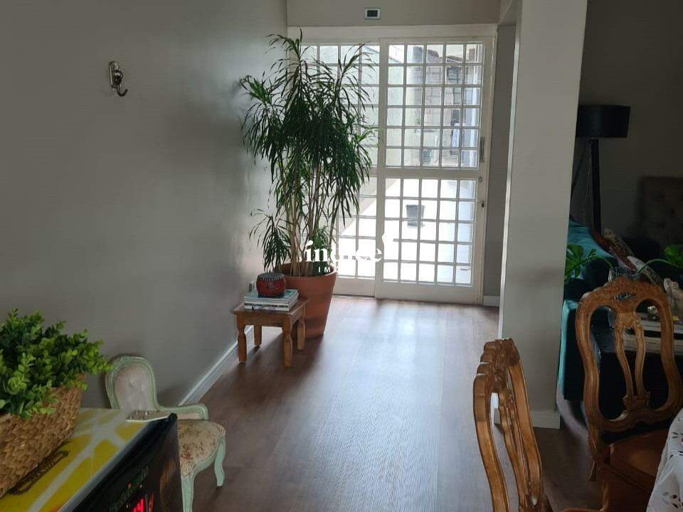 Casas para para aluguel no Jardim Sumaré na cidade de Ribeirão Preto: 