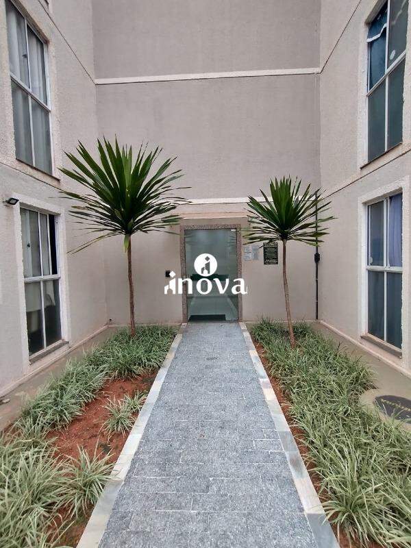 Apartamento para aluguel no Manoel Mendes: 