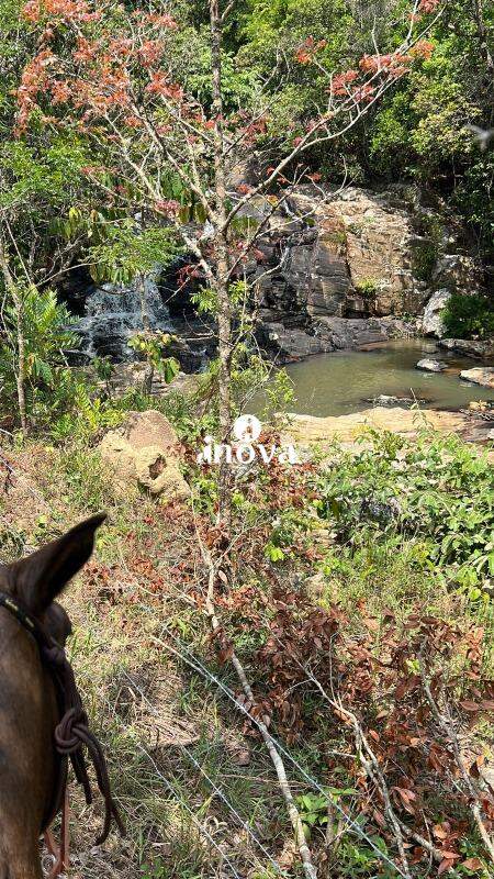 Fazenda à venda no RURAL: 