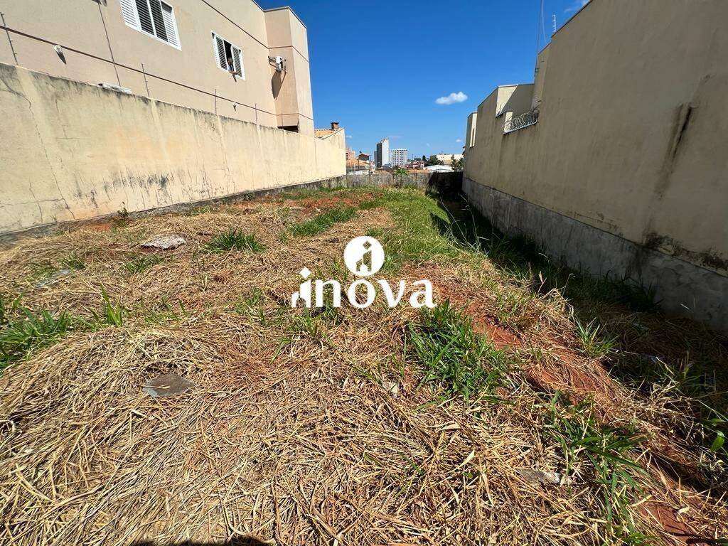 Terreno/Área à venda no Quinta da Boa Esperança: 