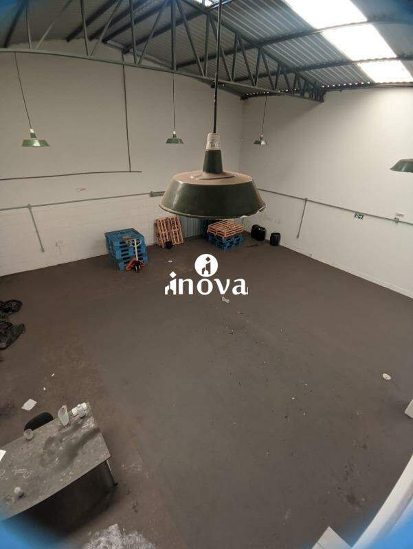 Galpão à venda no Parque das Américas: 