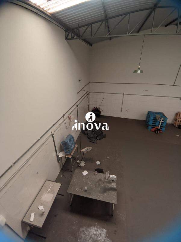 Galpão à venda no Parque das Américas: 