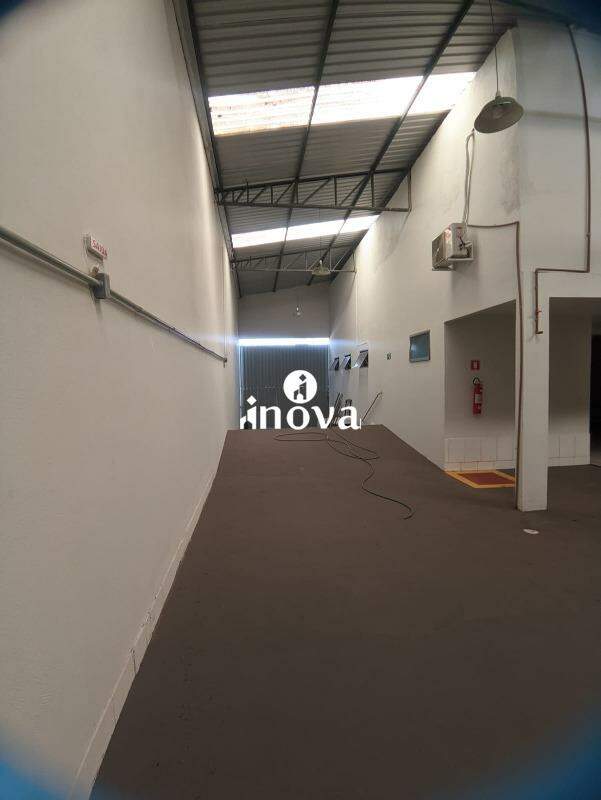 Galpão à venda no Parque das Américas: 