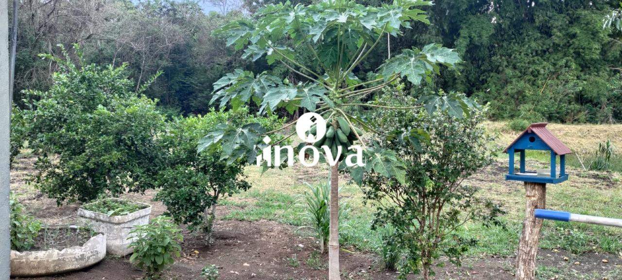 Chácara / Sítios à venda no Recanto das Flores: 