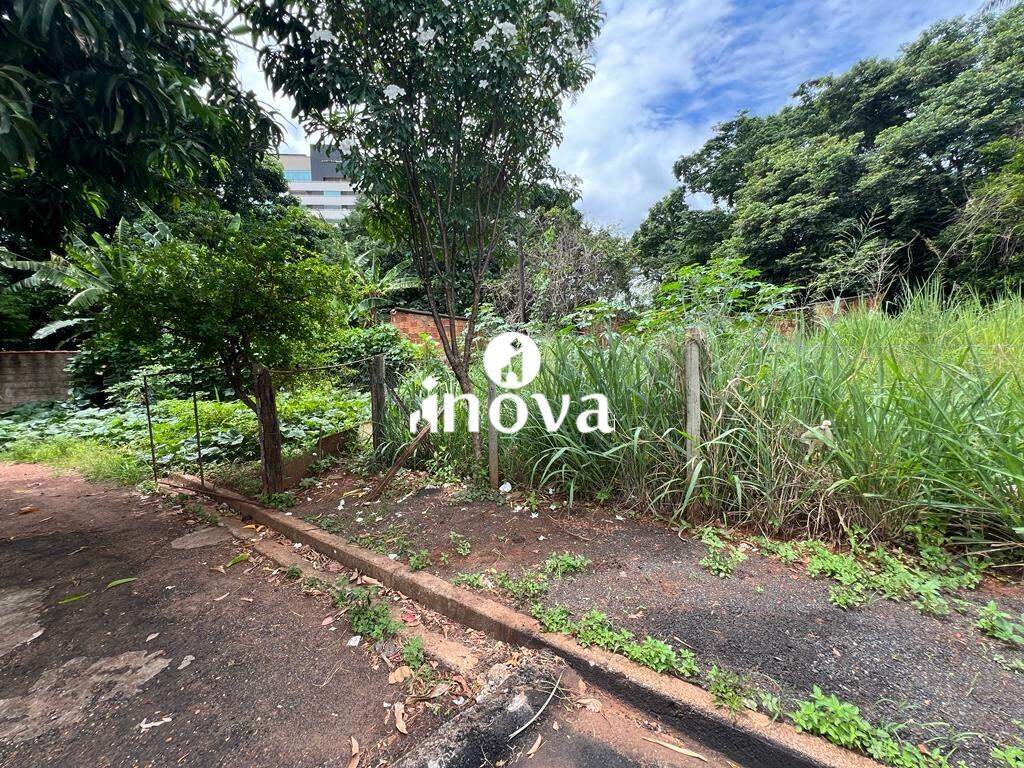 Terreno/Área à venda no Santa Marta: 