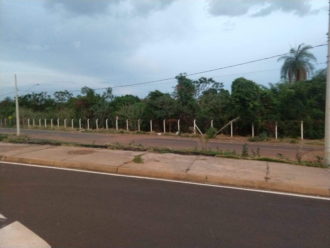 Terreno/Área à venda no Terra Jardim: 