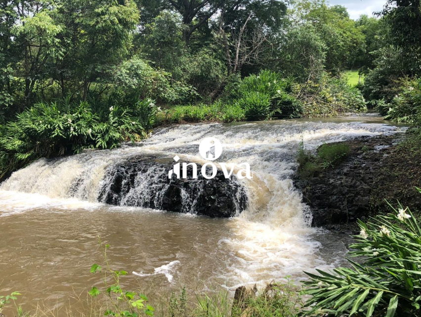 Fazenda à venda no Rural: 