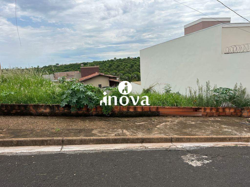 Terreno/Área à venda no Nenê Gomes, Jardim: 