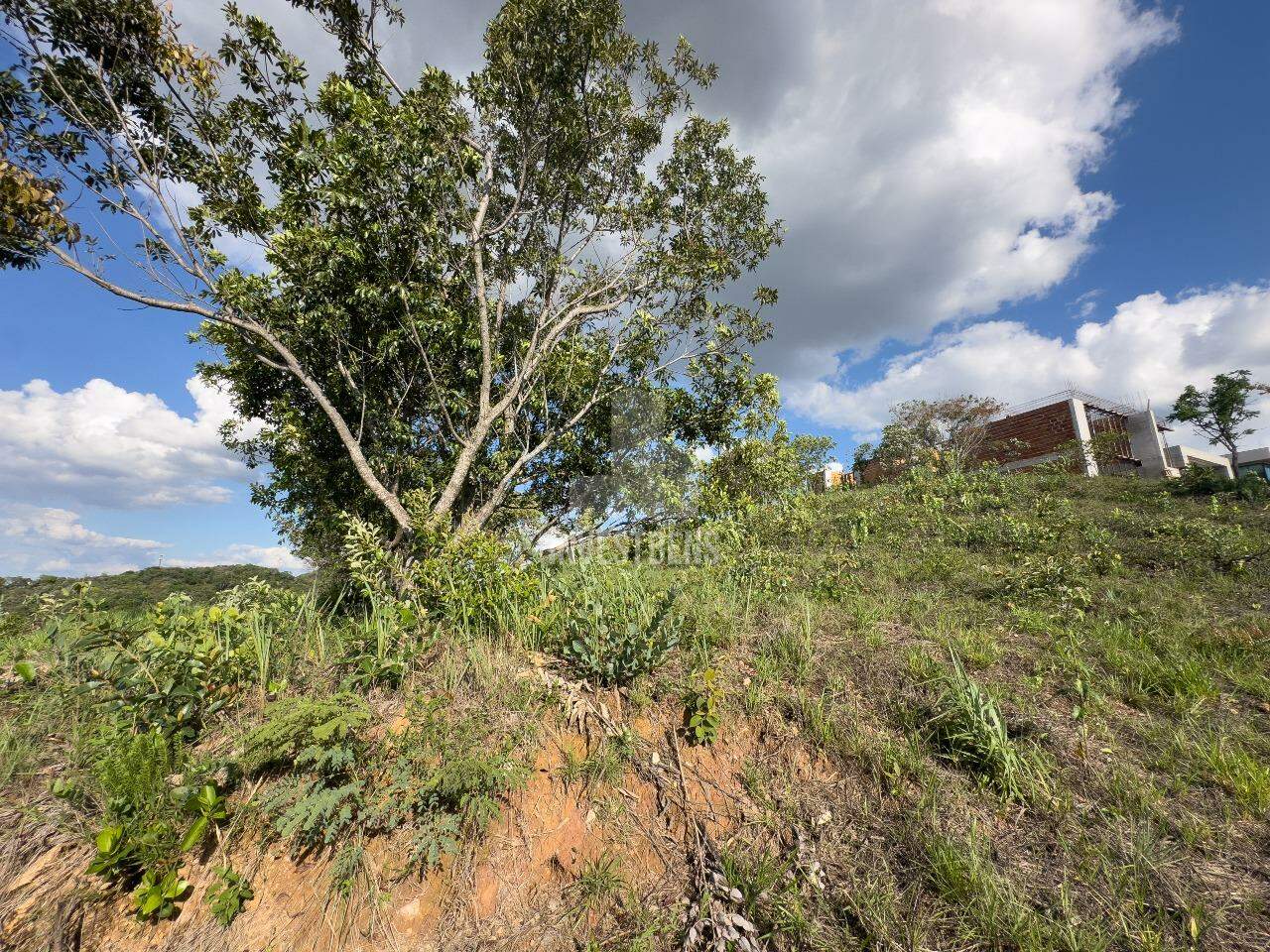 Lote em condomínio à venda no Mirante da Mata: 