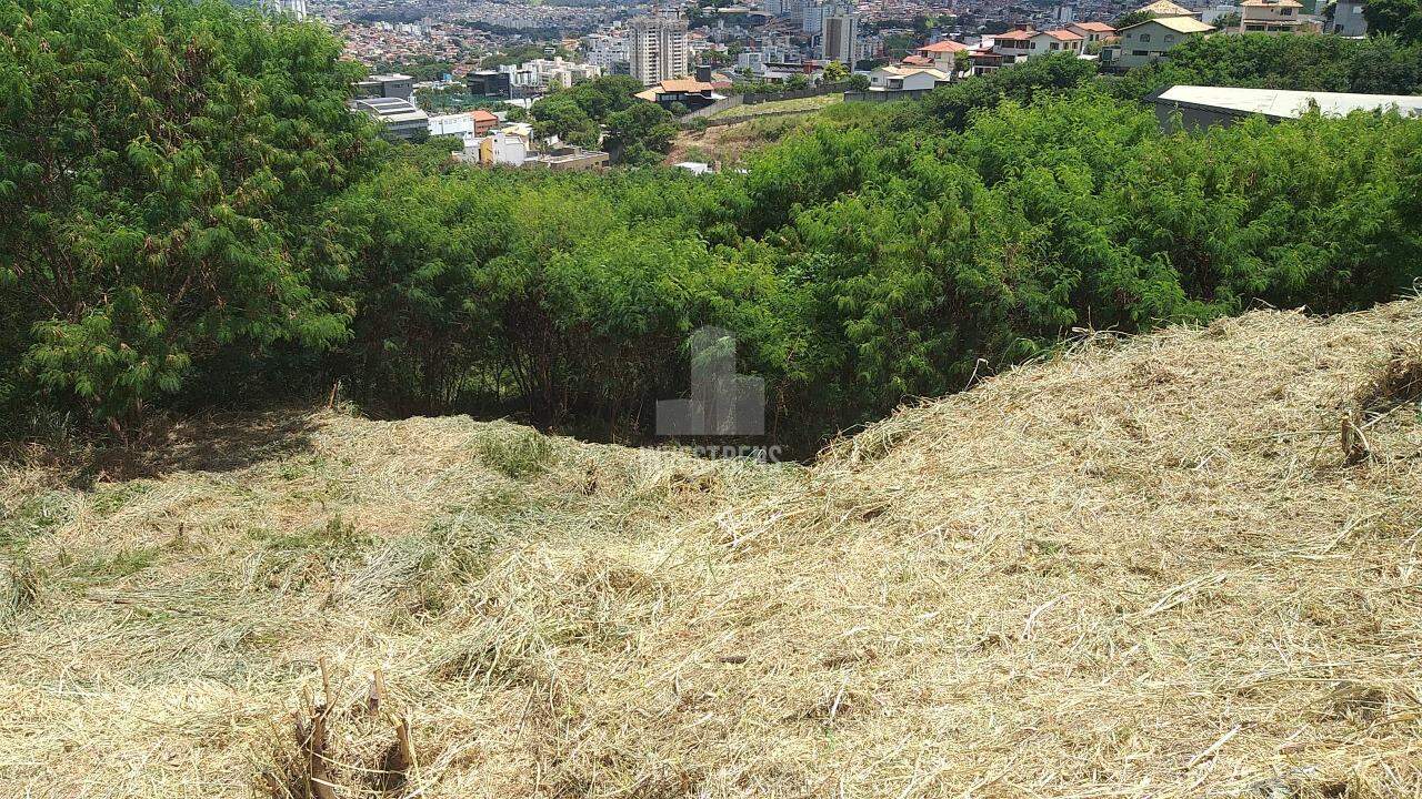 Lote para aluguel no Estoril: 
