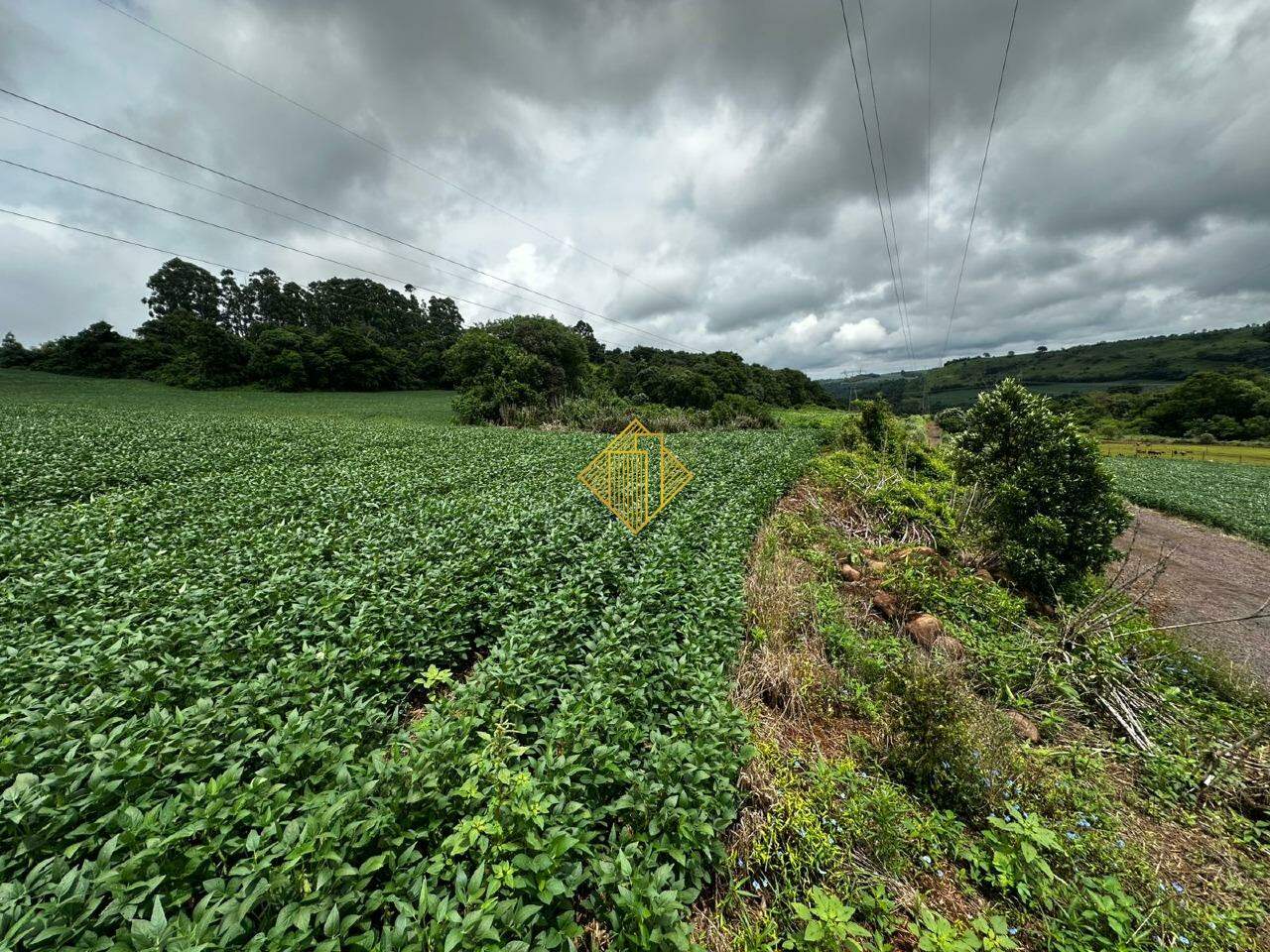 Chácara à venda no São Salvador: 