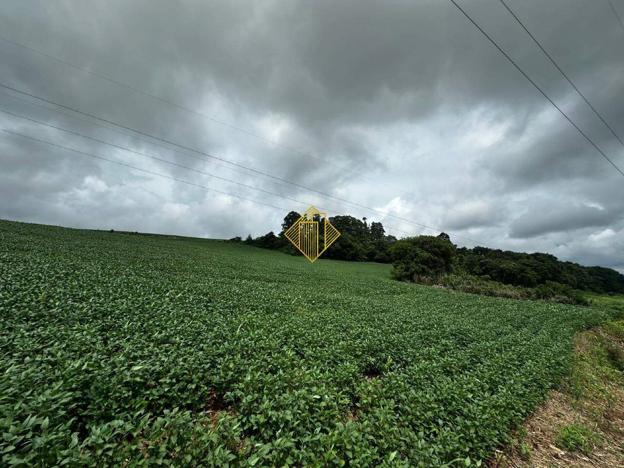 Chácara à venda no São Salvador: 
