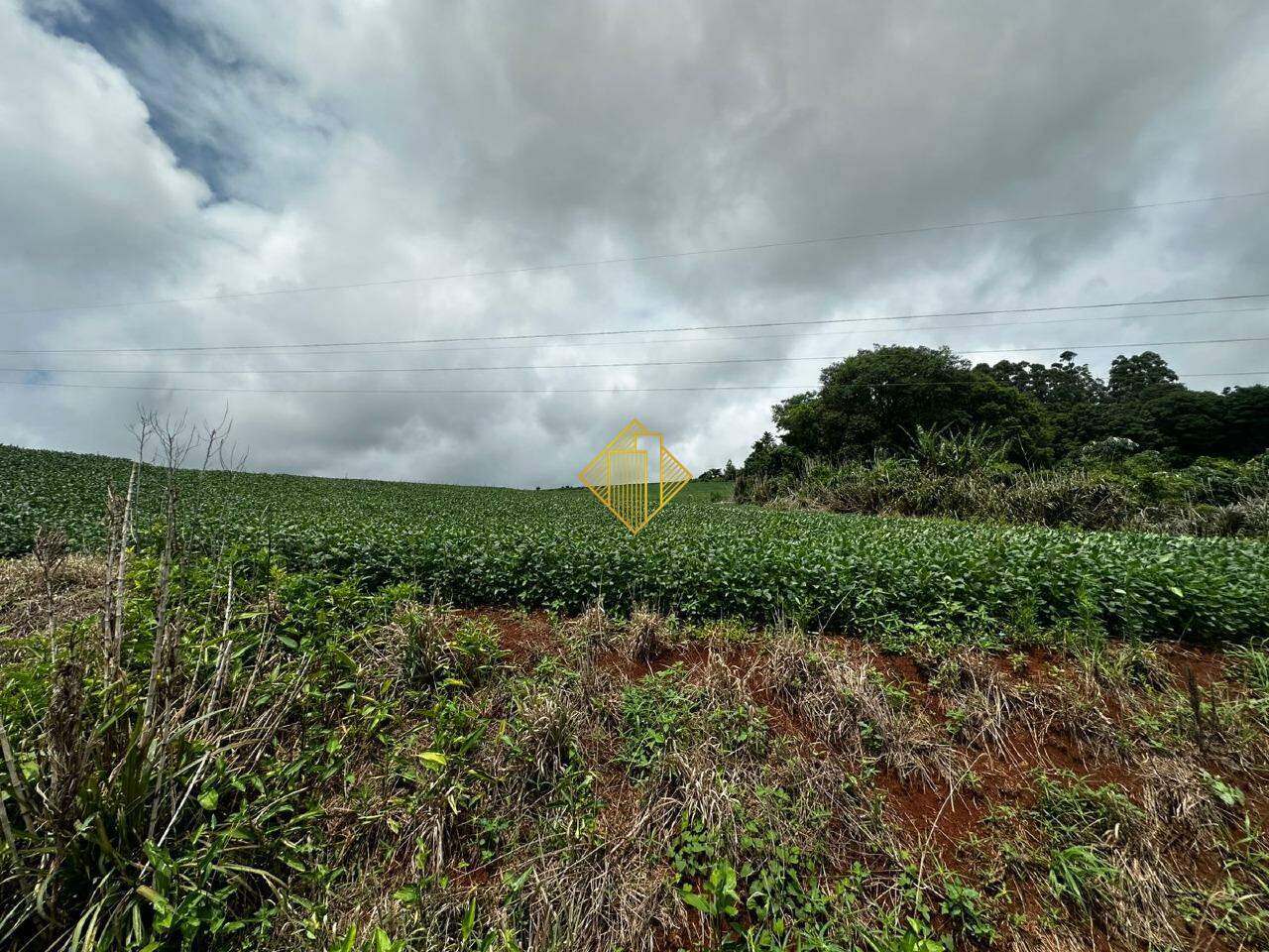 Chácara à venda no São Salvador: 