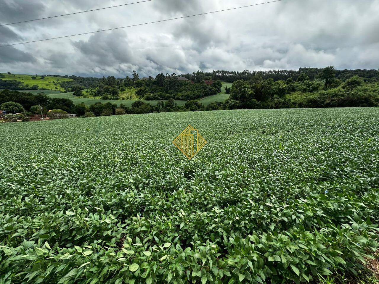 Chácara à venda no São Salvador: 