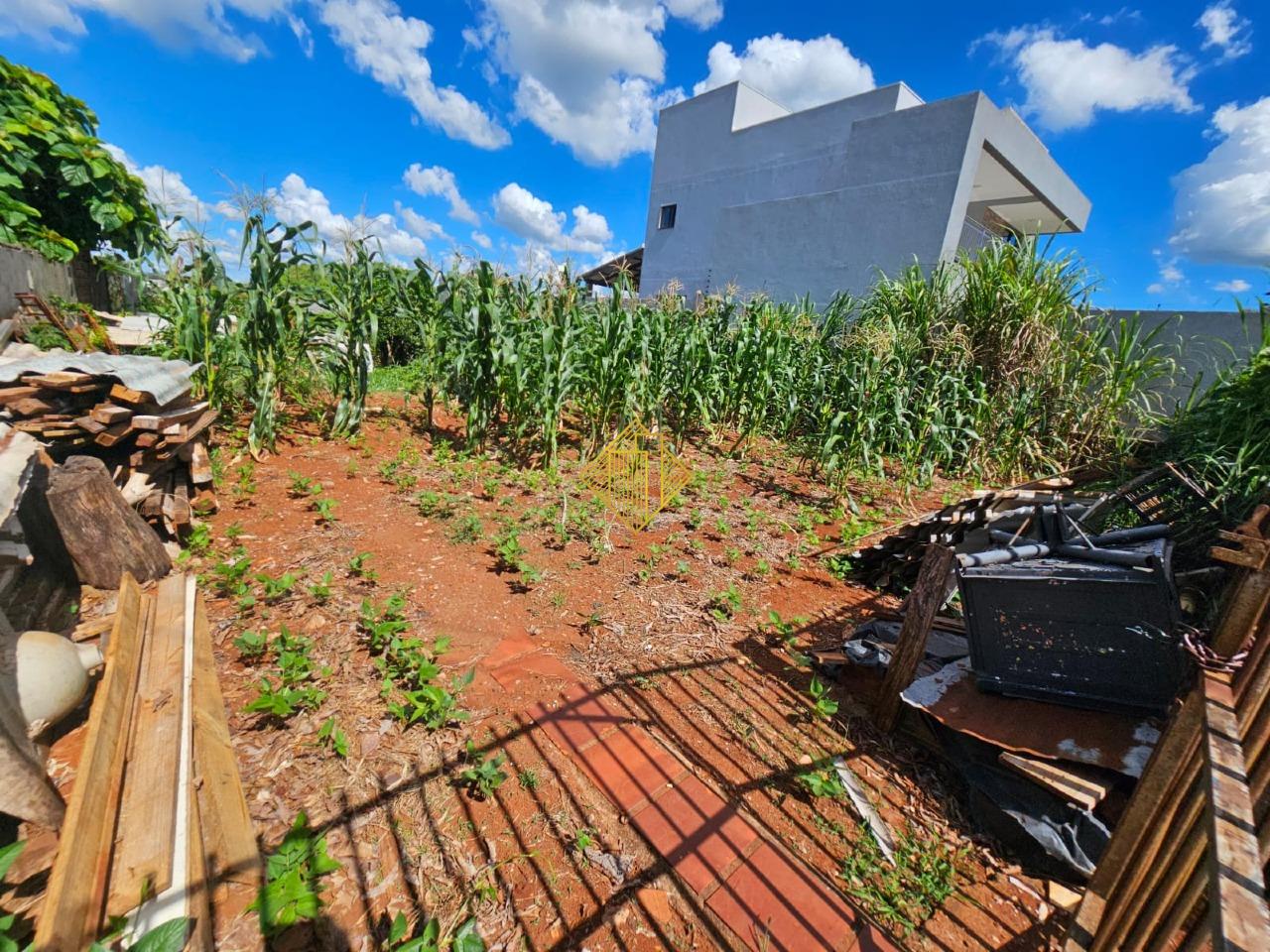 Terreno à venda no Jardim universitario: 