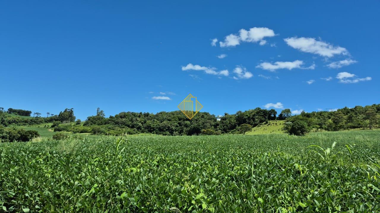 Área Rural à venda no linha rural rio do salto: 