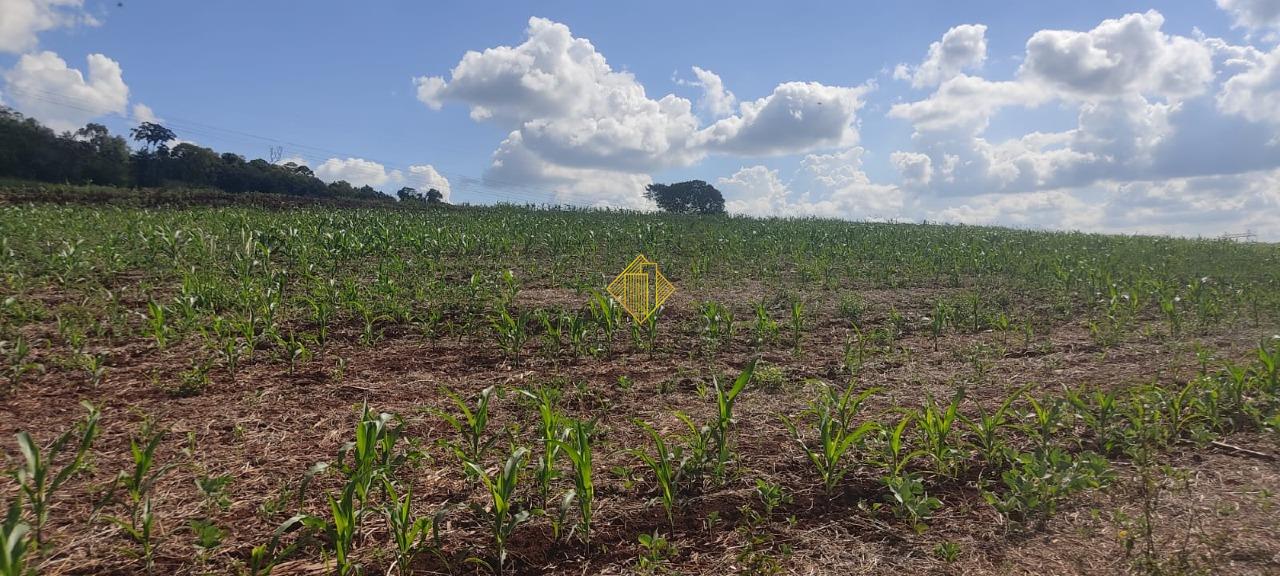 Área Rural à venda no linha rural rio do salto: 