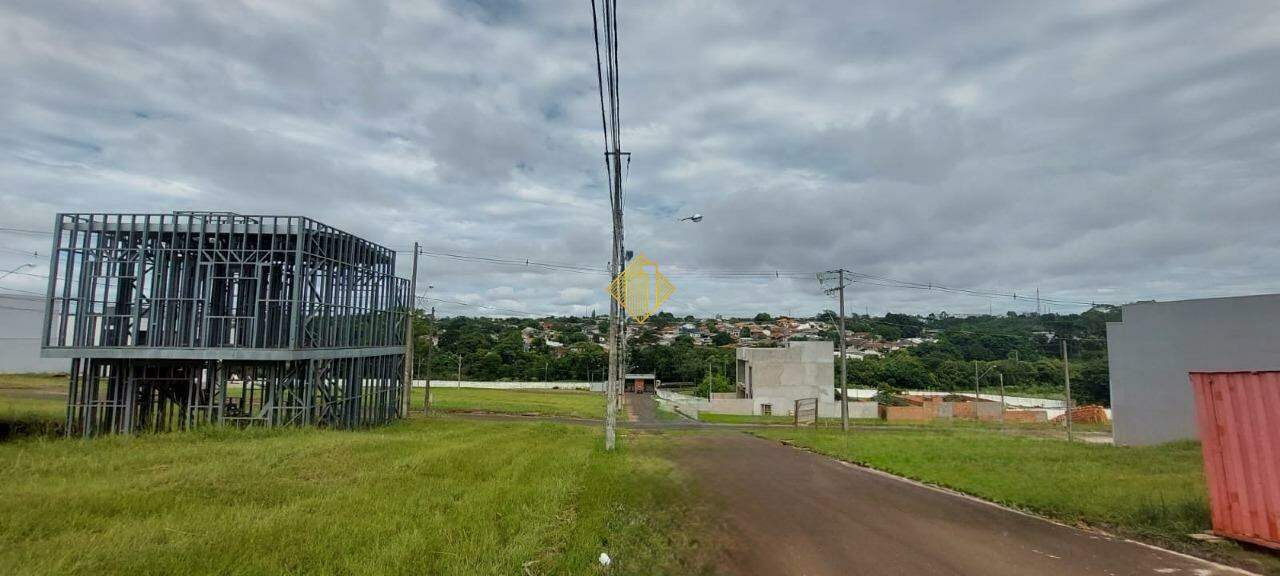 Terreno à venda no Cascavel Velho: 