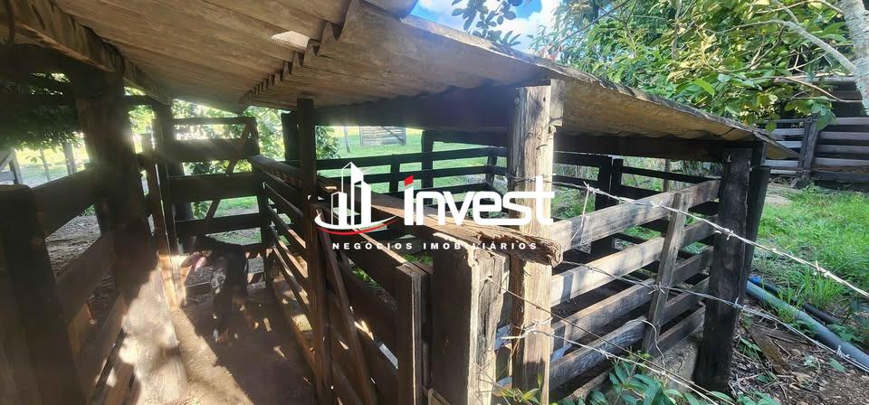 Chácara / Sítios à venda no Centro: 