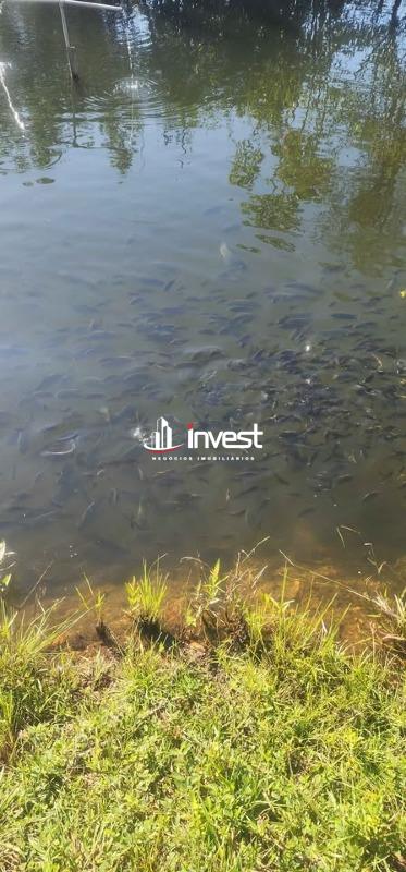 Chácara / Sítios à venda no Centro: 