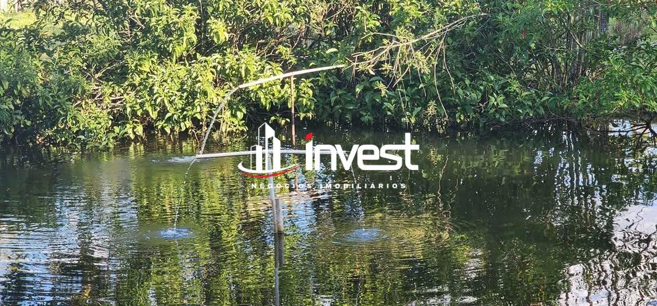 Chácara / Sítios à venda no Centro: 