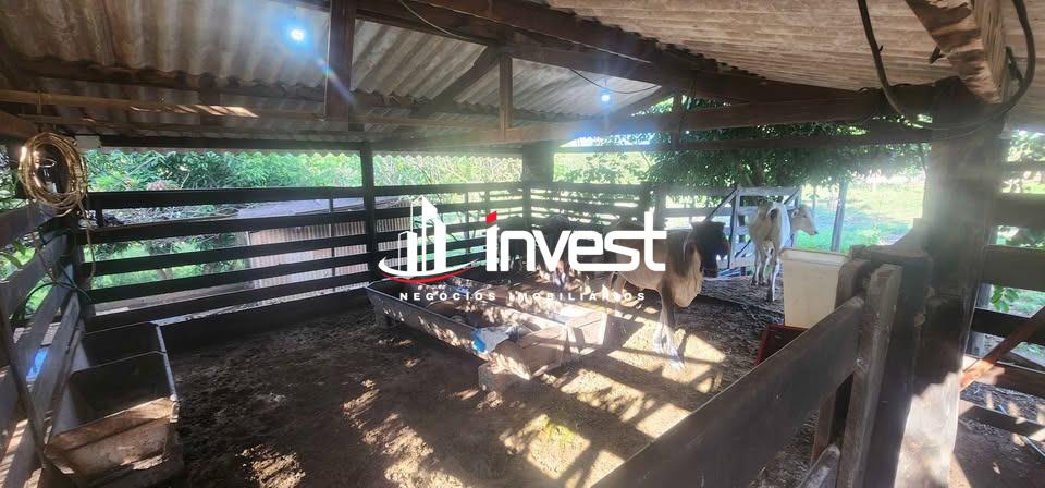 Chácara / Sítios à venda no Centro: 