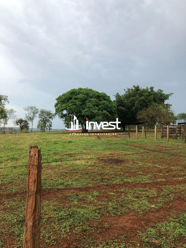 Sítio à venda no Sítios Recreio da Cachoeira do Cassu: 