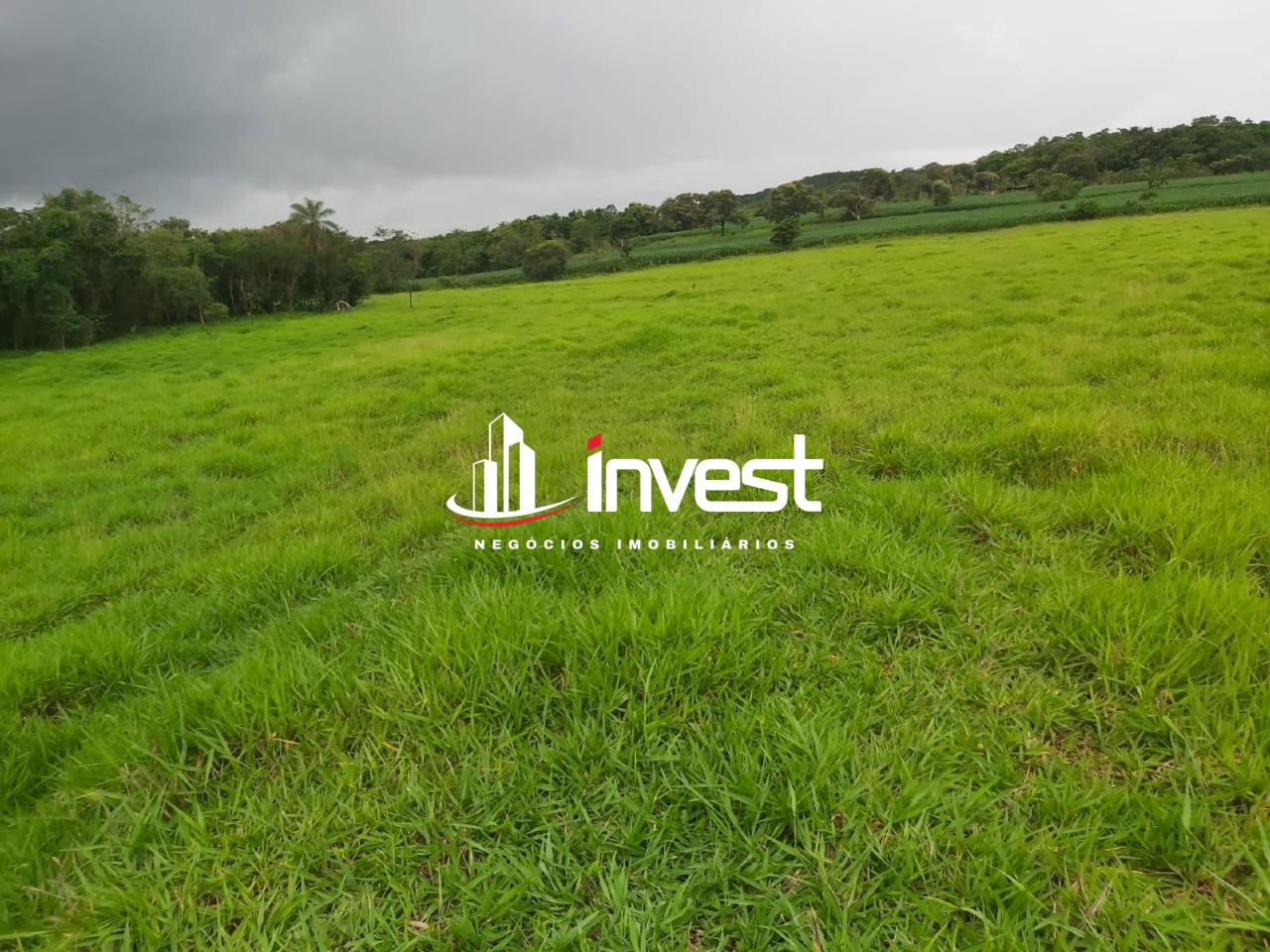 Sítio à venda no Santa Fé: 