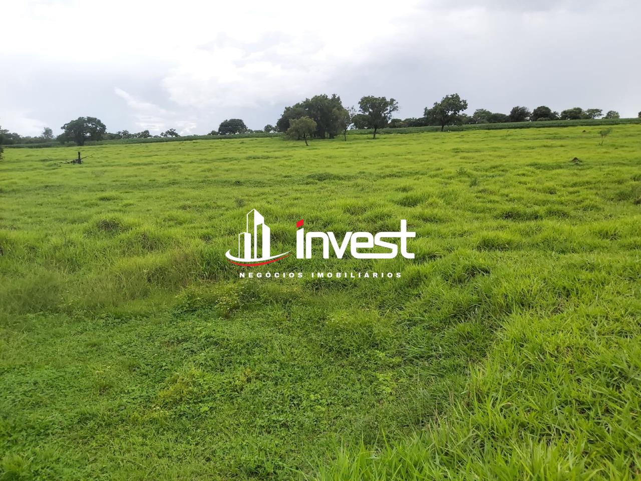 Sítio à venda no Santa Fé: 