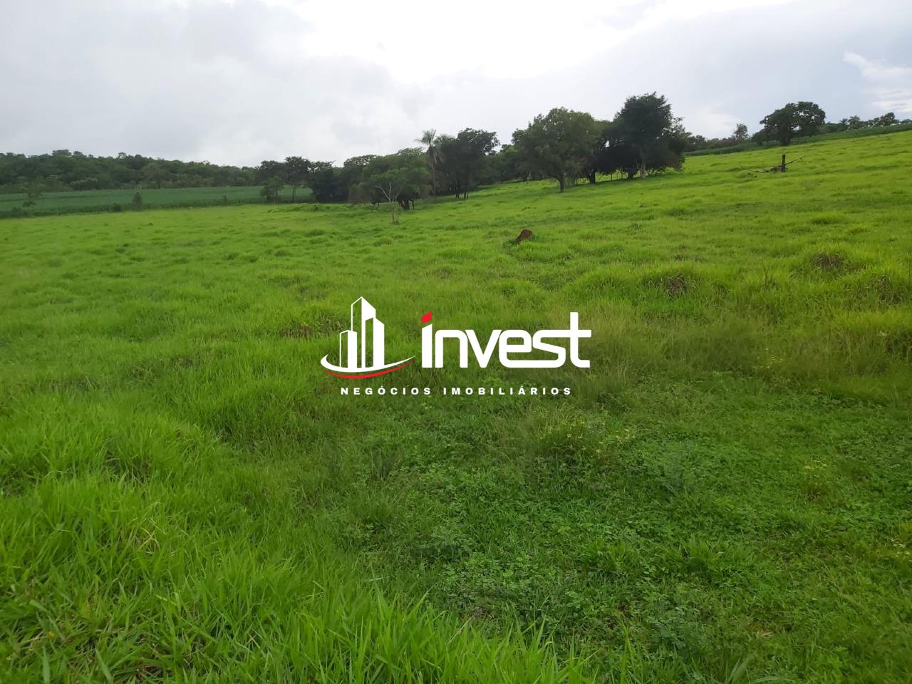 Sítio à venda no Santa Fé: 