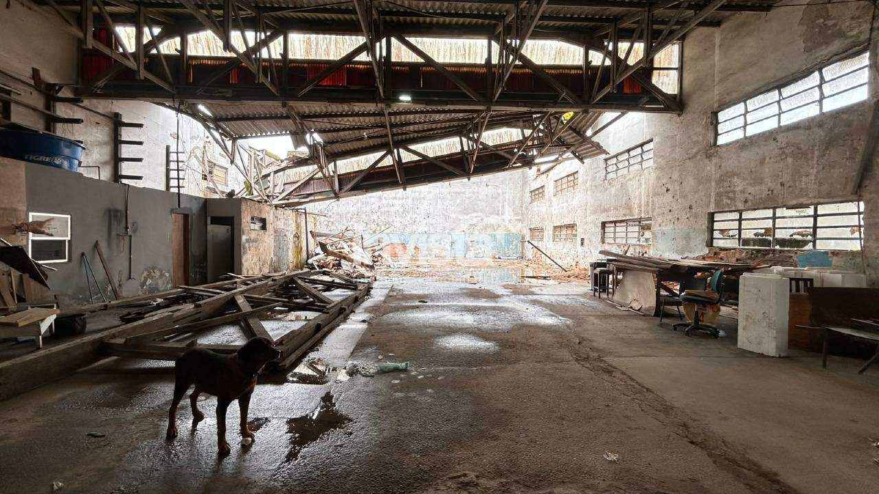 C&oacute;digo: 45454 R$ 30.000,00 Galp&atilde;o para alugar em Santos-SP no bairro SABOO, com 0 dormit&oacute;rio e 1089m&sup2; 1089 m&sup2; 0 quartos 15 vagas - Santos