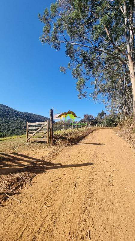 Sítio à venda no Zona Rural: 