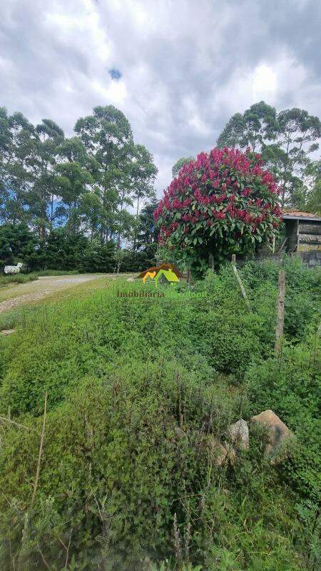Lote à venda no LAVRAS NOVAS : 