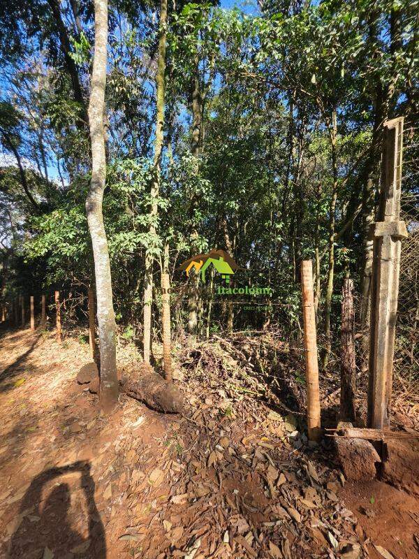 Chácara à venda no Caieira: 